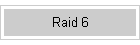 Raid 6