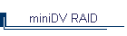 miniDV RAID